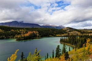 Flexible Support Models