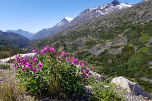 Indigenous Governance Expertise and Strategic Community Planning